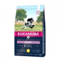 Eukanuba Tørrfôr til Valp Mellomstor Rase 3 kg med Kylling