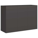 vidaXL Blomsterkasse svart 120x40x80 cm kaldvalset stål