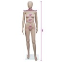 Mannequin med rundt hode dame