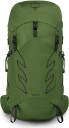 Osprey Men's Talon 33 L/XL, Green Belt/Black