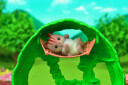 Sylvanian Families Baby Tree House 5318