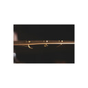 Meinl Sizzle Rivets Brass Plated