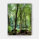 Lerretsbilde 70x100 cm Frodig skog med høye trær og frodig vegetasjon Grønn / Brun