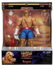Street Fighter II  Sagat Deluxe 1:12 Scale Action Figure