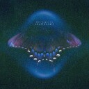Shes Green Swallowtail Chrysalis Vinyl