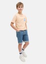 Jj Rebels JREBJOE JJCRAFT SHORTS AKM 760