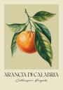Arancia Di Calabria Plakat Plakat / 30x40cm