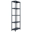 vidaXL Oppbevaringshylle 2 stk svart 125 kg 60x30x180 cm plast