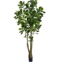 Mr Plant Fiolfiken 270 cm