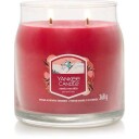 Yankee Candle Santa On Skis Signature Medium Jar 368 g