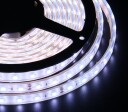 24V LED Strips 6000K IP68 4,8W/M 60LED/M 5M