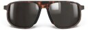 Julbo Ward Spectron 3 Polarized brown/gray