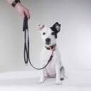 Tyylivoitto Hundekobbel Flettet Svart (9Mm X 300Cm)