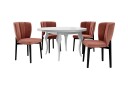 Other Brand Spisegruppe Kendale Rosa/Hvit