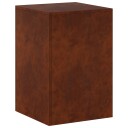 vidaXL Planteholder Rusten 40 x 40 x 60 cm Cortenstål