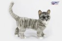 Katt kosedyr grå stående 25 cm | Hansa Creation