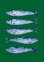 Five Painted Sardines Plakat / 70x100