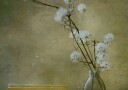 Serene Fluffy Flowers Plakat / 100x150