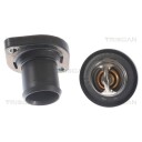 Termostat TRISCAN 8620 14689