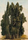 Villa d"Este By Gustaf Wilhelm Palm Plakat Plakat / 50x70cm