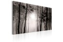 Tavle Foggy Forest 90X60 Artgeist sp. z o. o.