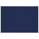 Vidaxl Vektdyne blå 138x200 cm 6 kg stoff