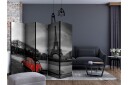 Romdeler - Eiffel Tower and red car II 225x172 - Artgeist sp. z o. o.