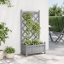 Plantekasse med espalier grå heltre gran