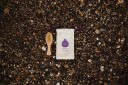 Kokoso Baby Natural Baby Hairbrush