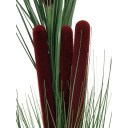 Europalms Reed Grass With Cattails Dark-Green,152cm
