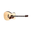 Godin Fairmount Concert Hall Ltd Rosewood Hg Eq