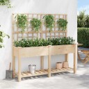 Hageplanter med espalier og hylle 161x43x152 cm Massivt furutre