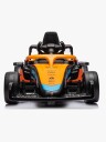 McLaren Formula 1 Team Gokart