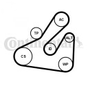 CONTITECH 5PK1745K1 Kileremsett