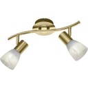 Trio Lighting Levisto spotter i tak 2 spotter