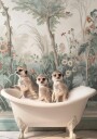 Three Meerkats Bathtime Plakat / 21x30