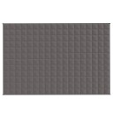 Vidaxl Vektdyne grå 120x180 cm 5 kg stoff