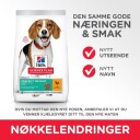 Hills Science Plan Tørrfôr for mellomstore hunder med kylling 12 kg - Perfekt vekt