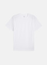 Puma M RUN VELOCITY TEE (POLY)