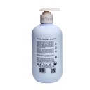 Reborn Blonde Highlight Shampoo 500 ml