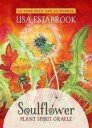 Soulflower Plant Spirit Oracle Av Lisa Estabrook