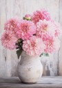 Pink Dahlias in Rustic Vase Plakat Plakat / 21x30cm