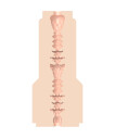 Fleshlight Vanna Bardot Dopamine