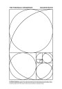 The Fibonacci Sequence Plakat Plakat / 40x50cm