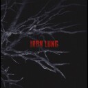 Andrew Hulshult Iron Lung Vinyl
