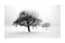 Fototapet Winter Trees 450x270 - Artgeist sp. z o. o.