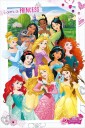 Disney Prinsesser Plakat - 91,5 x 61 cm