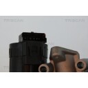EGR Ventil TRISCAN 8813 10001
