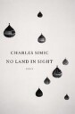 No Land In Sight Av Charles Simic