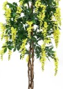 Europalms Wisteria, Yellow, 150cm